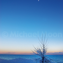 Stillness
