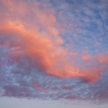DSC_0052web