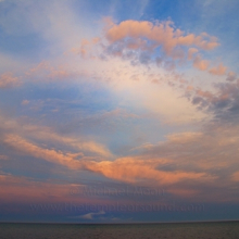 DSC_0054web