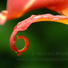 DSC_0057web
