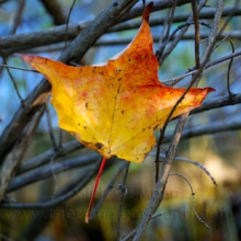 DSC_0081web