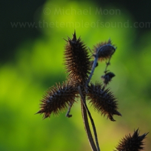 DSC_0094web