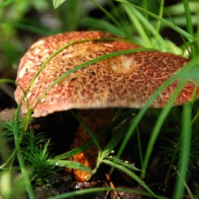 DSC_0107web