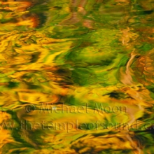 DSC_0139-2web