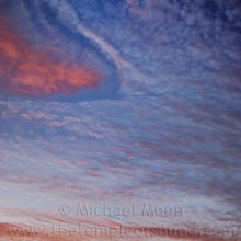 DSC_0155web