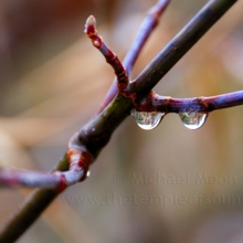 DSC_0182web