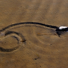 clam-trail-web