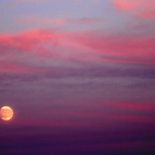 magenta-full-moon-rise-web