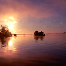 morning-mist-web