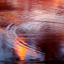 vesica-pices-ripples392web