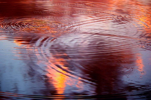 vesica-pices-ripples392web